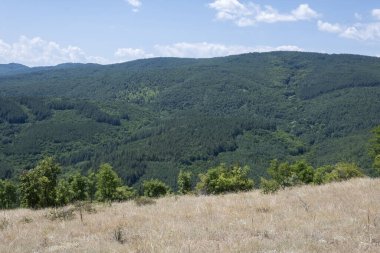 Rudina Dağı, Pernik Bölgesi, Bulgaristan 'ın İnanılmaz Yaz Manzarası