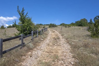 Rudina Dağı, Pernik Bölgesi, Bulgaristan 'ın İnanılmaz Yaz Manzarası