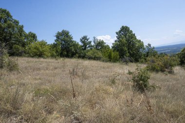 Rudina Dağı, Pernik Bölgesi, Bulgaristan 'ın İnanılmaz Yaz Manzarası