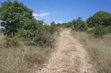 Rudina Dağı, Pernik Bölgesi, Bulgaristan 'ın İnanılmaz Yaz Manzarası