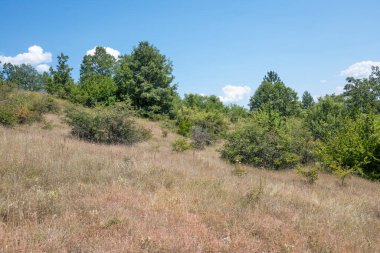Rudina Dağı, Pernik Bölgesi, Bulgaristan 'ın İnanılmaz Yaz Manzarası