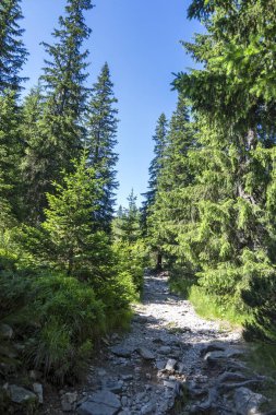 Amazing Summer landscape of Rila Mountain near Malyovitsa hut, Bulgaria