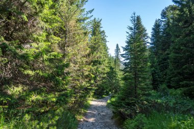 Amazing Summer landscape of Rila Mountain near Malyovitsa hut, Bulgaria