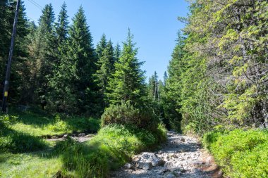 Amazing Summer landscape of Rila Mountain near Malyovitsa hut, Bulgaria