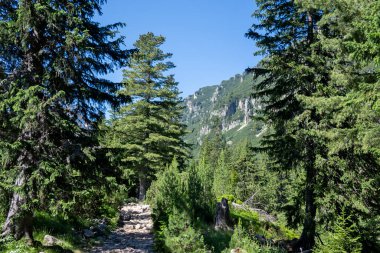 Amazing Summer landscape of Rila Mountain near Malyovitsa hut, Bulgaria