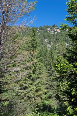 Amazing Summer landscape of Rila Mountain near Malyovitsa hut, Bulgaria
