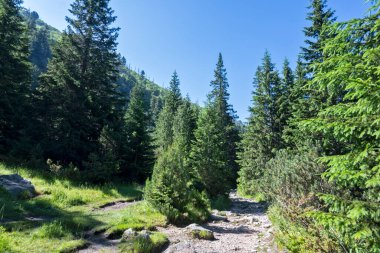 Amazing Summer landscape of Rila Mountain near Malyovitsa hut, Bulgaria