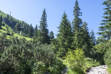 Amazing Summer landscape of Rila Mountain near Malyovitsa hut, Bulgaria