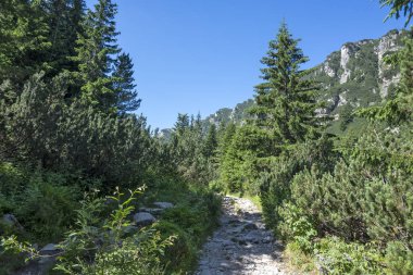 Amazing Summer landscape of Rila Mountain near Malyovitsa hut, Bulgaria
