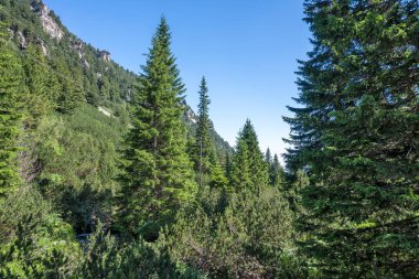 Amazing Summer landscape of Rila Mountain near Malyovitsa hut, Bulgaria