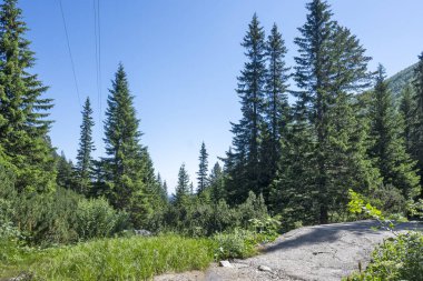 Amazing Summer landscape of Rila Mountain near Malyovitsa hut, Bulgaria