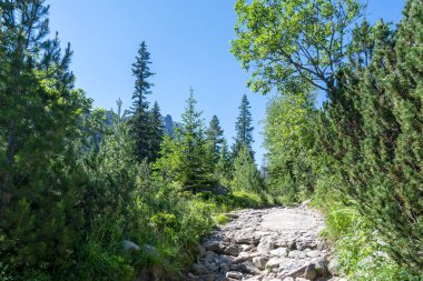 Amazing Summer landscape of Rila Mountain near Malyovitsa hut, Bulgaria