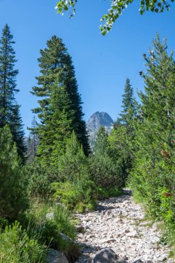 Amazing Summer landscape of Rila Mountain near Malyovitsa hut, Bulgaria
