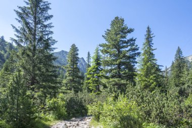 Amazing Summer landscape of Rila Mountain near Malyovitsa hut, Bulgaria