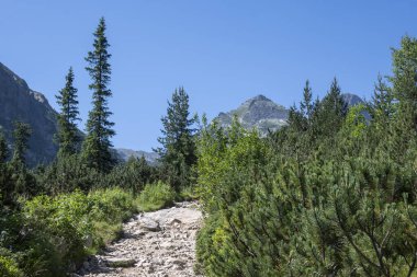 Amazing Summer landscape of Rila Mountain near Malyovitsa hut, Bulgaria