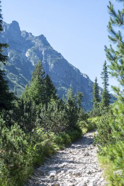 Amazing Summer landscape of Rila Mountain near Malyovitsa hut, Bulgaria