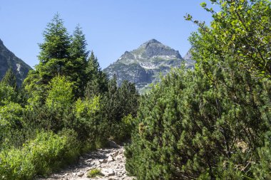 Amazing Summer landscape of Rila Mountain near Malyovitsa hut, Bulgaria