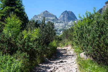 Amazing Summer landscape of Rila Mountain near Malyovitsa hut, Bulgaria