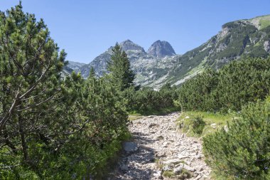 Amazing Summer landscape of Rila Mountain near Malyovitsa hut, Bulgaria