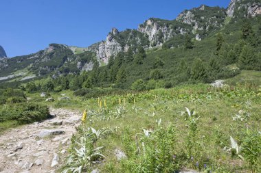 Amazing Summer landscape of Rila Mountain near Malyovitsa hut, Bulgaria