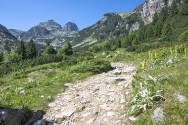 Amazing Summer landscape of Rila Mountain near Malyovitsa hut, Bulgaria