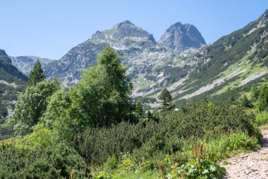 Amazing Summer landscape of Rila Mountain near Malyovitsa hut, Bulgaria