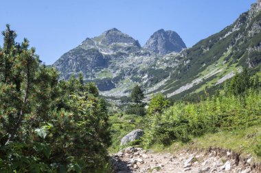 Amazing Summer landscape of Rila Mountain near Malyovitsa hut, Bulgaria