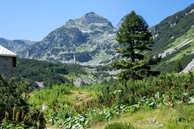 Amazing Summer landscape of Rila Mountain near Malyovitsa hut, Bulgaria