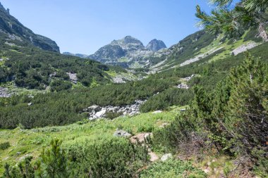 Amazing Summer landscape of Rila Mountain near Malyovitsa hut, Bulgaria