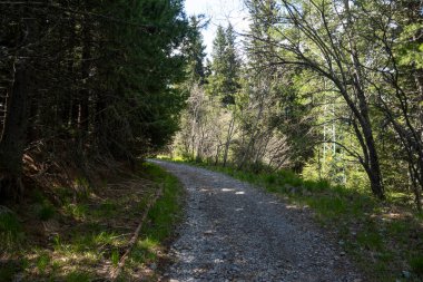 Bulgaristan 'ın Sofya Şehir Bölgesi Vitosha Dağı' ndaki Konyarnika bölgesinin bahar manzarası