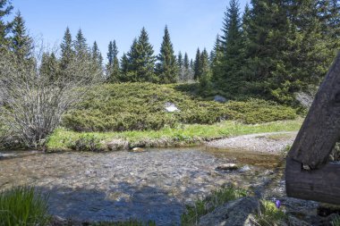 Bulgaristan 'ın Sofya Şehir Bölgesi Vitosha Dağı' ndaki Konyarnika bölgesinin bahar manzarası