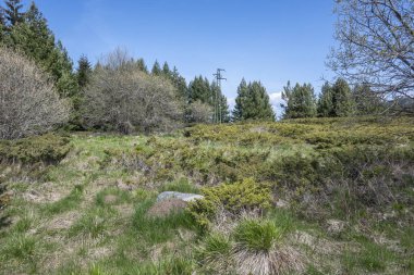 Bulgaristan 'ın Sofya Şehir Bölgesi Vitosha Dağı' ndaki Konyarnika bölgesinin bahar manzarası