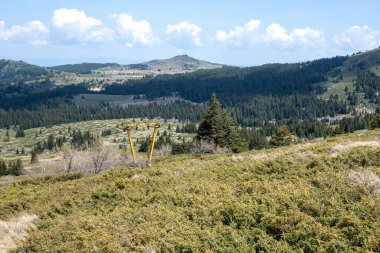 Bulgaristan 'ın Sofya Şehir Bölgesi Vitosha Dağı' ndaki Konyarnika bölgesinin bahar manzarası