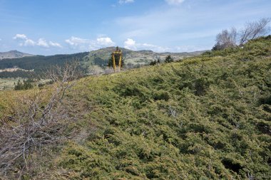 Bulgaristan 'ın Sofya Şehir Bölgesi Vitosha Dağı' ndaki Konyarnika bölgesinin bahar manzarası