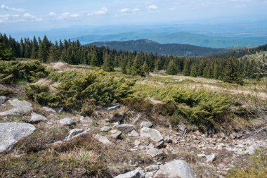 Bulgaristan 'ın Sofya Şehir Bölgesi Vitosha Dağı' ndaki Konyarnika bölgesinin bahar manzarası