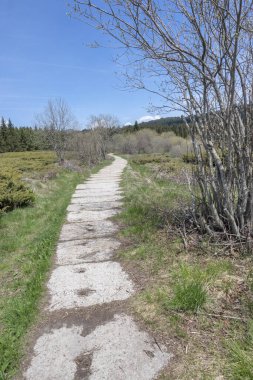 Bulgaristan 'ın Sofya Şehir Bölgesi Vitosha Dağı' ndaki Konyarnika bölgesinin bahar manzarası