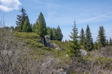 Bulgaristan 'ın Sofya Şehir Bölgesi Vitosha Dağı' ndaki Konyarnika bölgesinin bahar manzarası