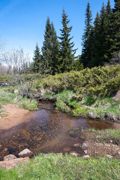 Bulgaristan 'ın Sofya Şehir Bölgesi Vitosha Dağı' ndaki Konyarnika bölgesinin bahar manzarası