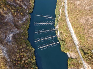 Krichim Reservoir, Rhodopes Dağı, Filibe Bölgesi, Bulgaristan 'ın Havadan Sonbahar manzarası
