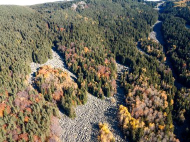 Bulgaristan 'ın başkenti Sofya' nın Vitosha Dağı 'ndaki Zlatnite Mostove (Altın Köprüler) adlı taştan nehrin hava sonbahar manzarası