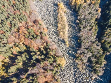 Bulgaristan 'ın başkenti Sofya' nın Vitosha Dağı 'ndaki Zlatnite Mostove (Altın Köprüler) adlı taştan nehrin hava sonbahar manzarası