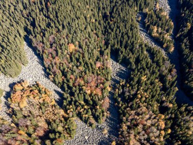 Bulgaristan 'ın başkenti Sofya' nın Vitosha Dağı 'ndaki Zlatnite Mostove (Altın Köprüler) adlı taştan nehrin hava sonbahar manzarası