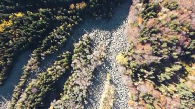 Bulgaristan 'ın başkenti Sofya' nın Vitosha Dağı 'ndaki Zlatnite Mostove (Altın Köprüler) adlı taştan nehrin hava sonbahar manzarası