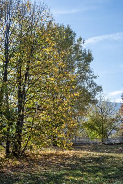 Bulgaristan 'ın Sofya kentindeki South Park' ın şaşırtıcı sonbahar manzarası