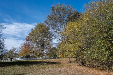 Bulgaristan 'ın Sofya kentindeki South Park' ın şaşırtıcı sonbahar manzarası