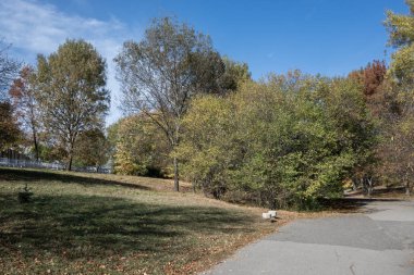 Bulgaristan 'ın Sofya kentindeki South Park' ın şaşırtıcı sonbahar manzarası