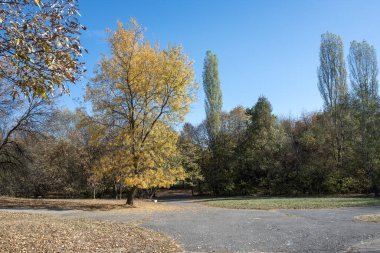 Bulgaristan 'ın Sofya kentindeki South Park' ın şaşırtıcı sonbahar manzarası