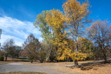 Bulgaristan 'ın Sofya kentindeki South Park' ın şaşırtıcı sonbahar manzarası