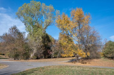 Bulgaristan 'ın Sofya kentindeki South Park' ın şaşırtıcı sonbahar manzarası