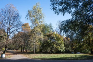 Bulgaristan 'ın Sofya kentindeki South Park' ın şaşırtıcı sonbahar manzarası